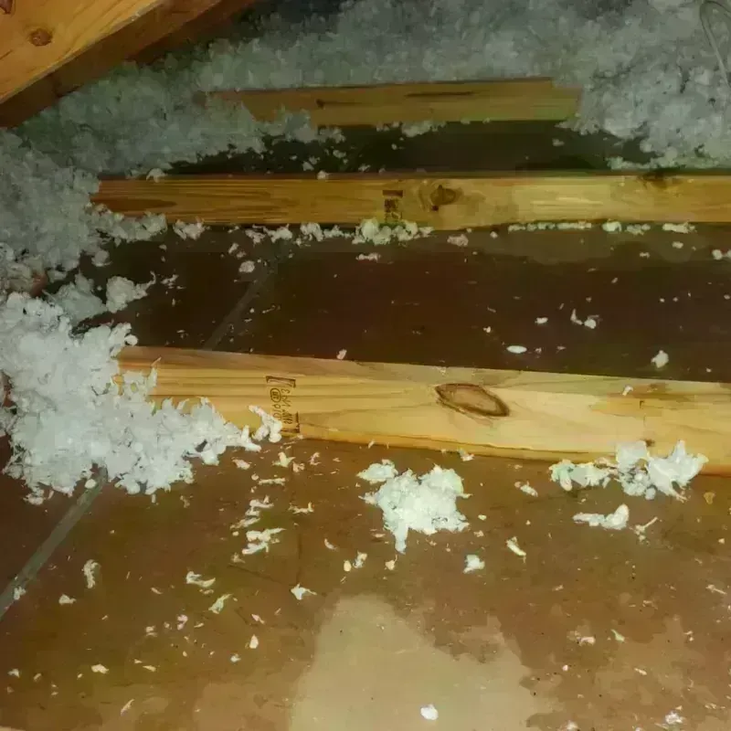 Attic Water Damage in Harvey County, KS