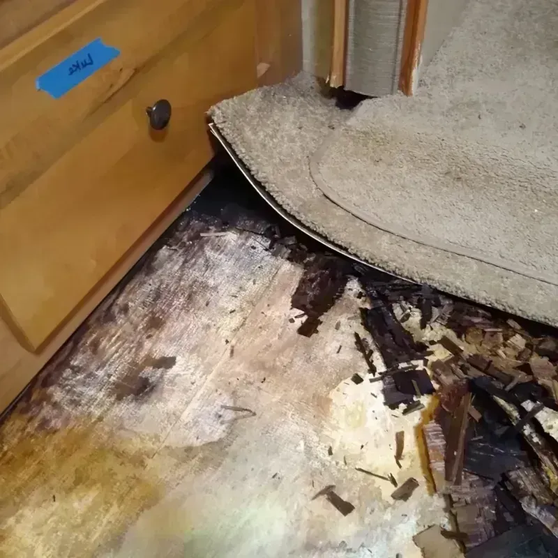 Wood Floor Water Damage in Harvey County, KS